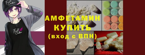метадон Алексин