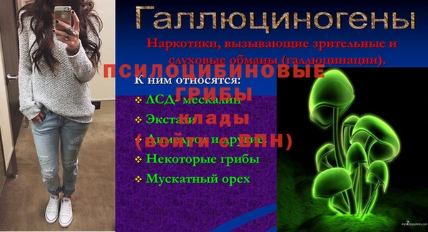 ECSTASY Ростов
