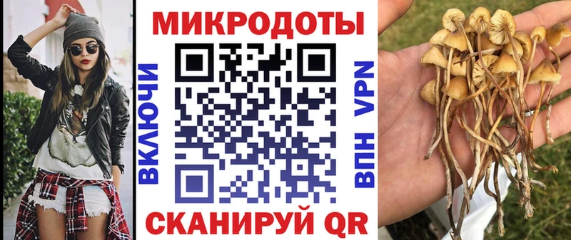 что такое наркотик  ссылка на мегу ТОР  Галлюциногенные грибы MAGIC MUSHROOMS  Большой Камень 