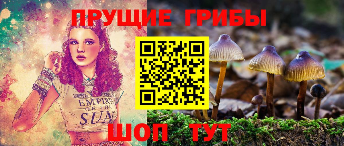 Большой Камень  Галлюциногенные грибы мухоморы  где можно купить   Вход с VPN 
